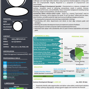 Infographic-resume-c-level