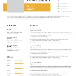 c-level-resume