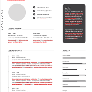 infographic-resume