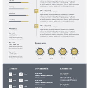 IT-systems-architect