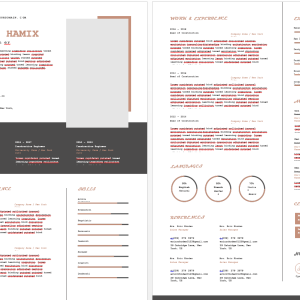 Insurance-Resume-Template