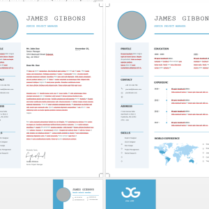 banking-profrssional-resume-template